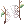 Cobweb