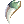 Dragon Canine