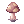 Orange Net Mushroom