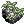 Dew Laden Moss