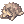 Raccoon Doll