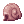 Snail's Shell