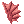 Fin